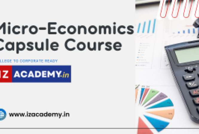 MicroEconomics